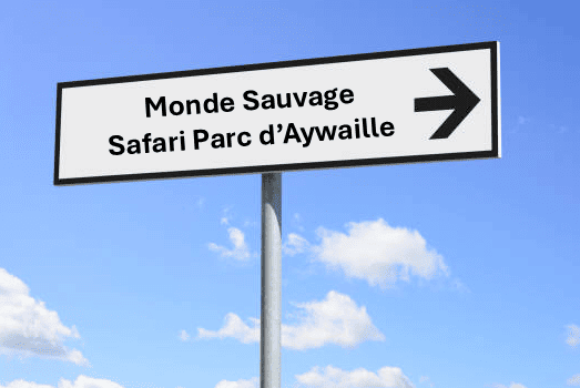 paneau route monde sauvage petite.png